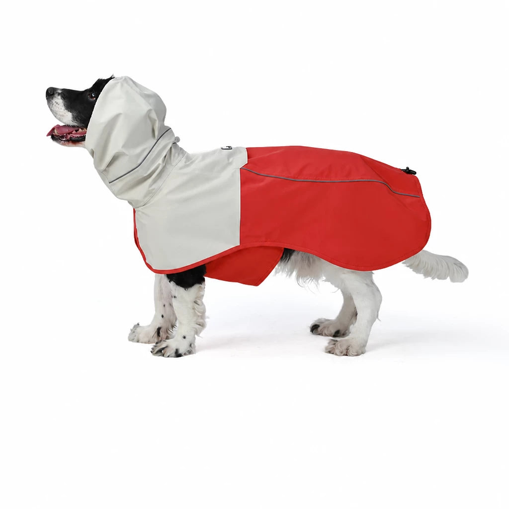 Two-Piece Dog Rain Suit
