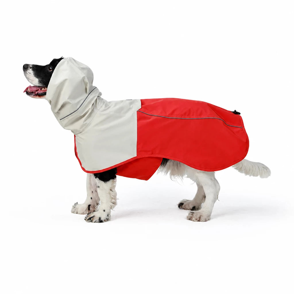 Two-Piece Dog Rain Suit