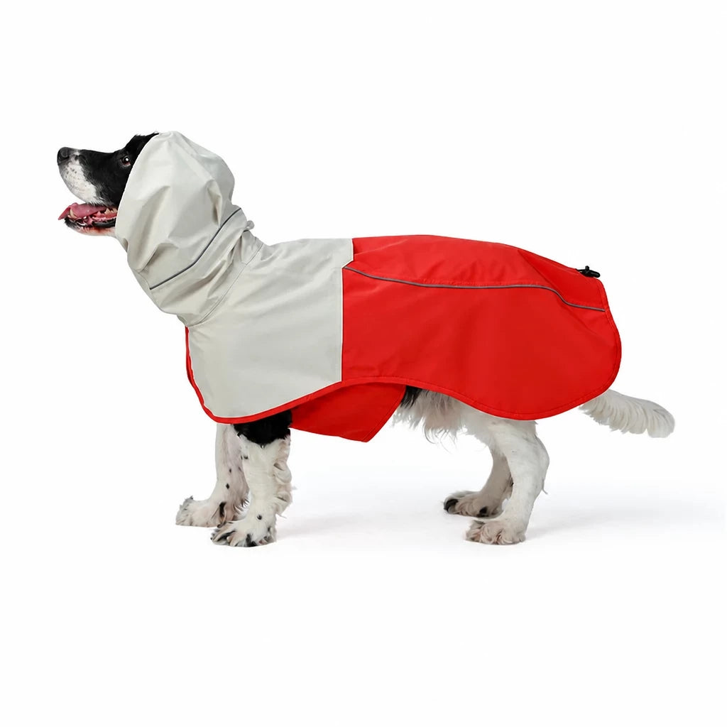 Two-Piece Dog Rain Suit