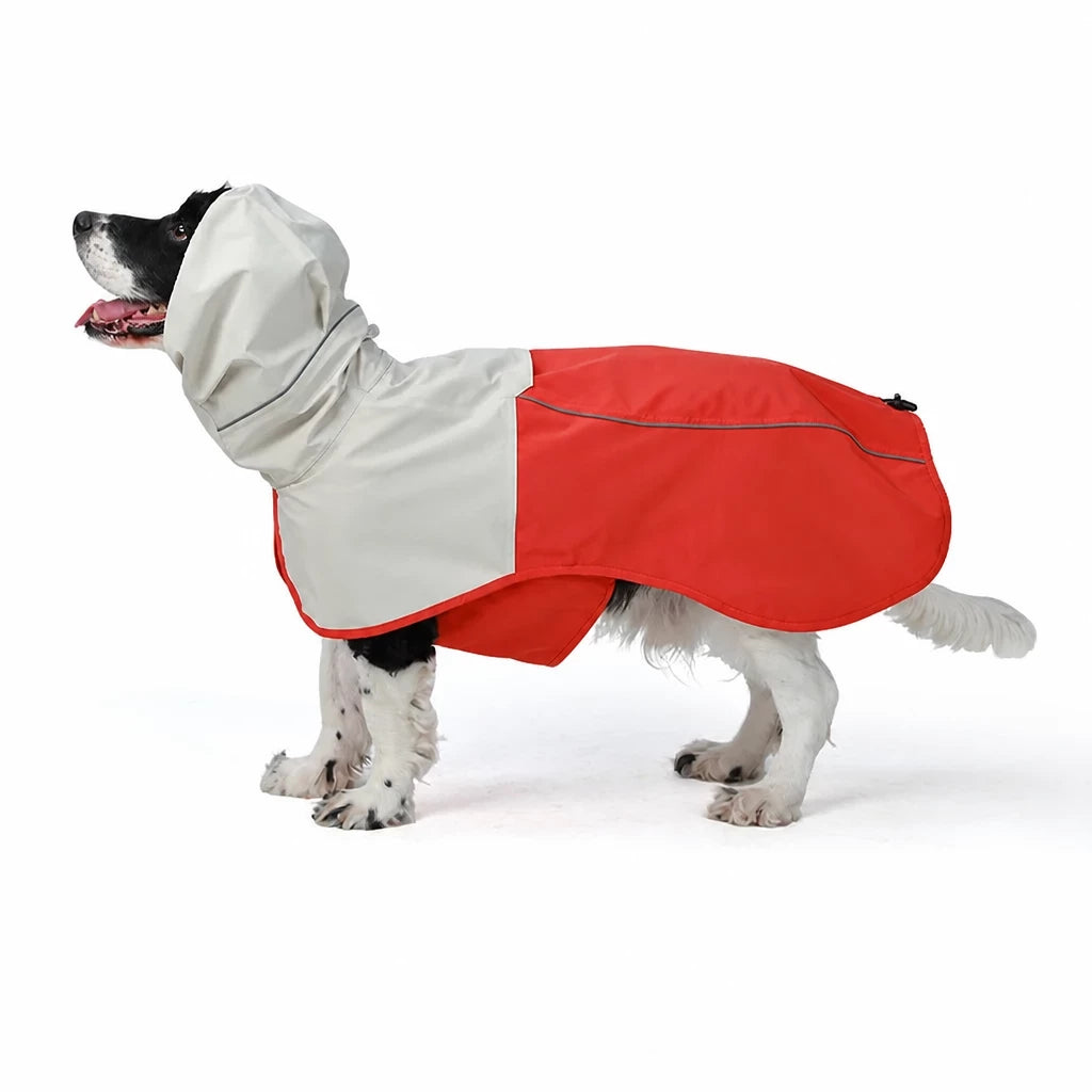Two-Piece Dog Rain Suit