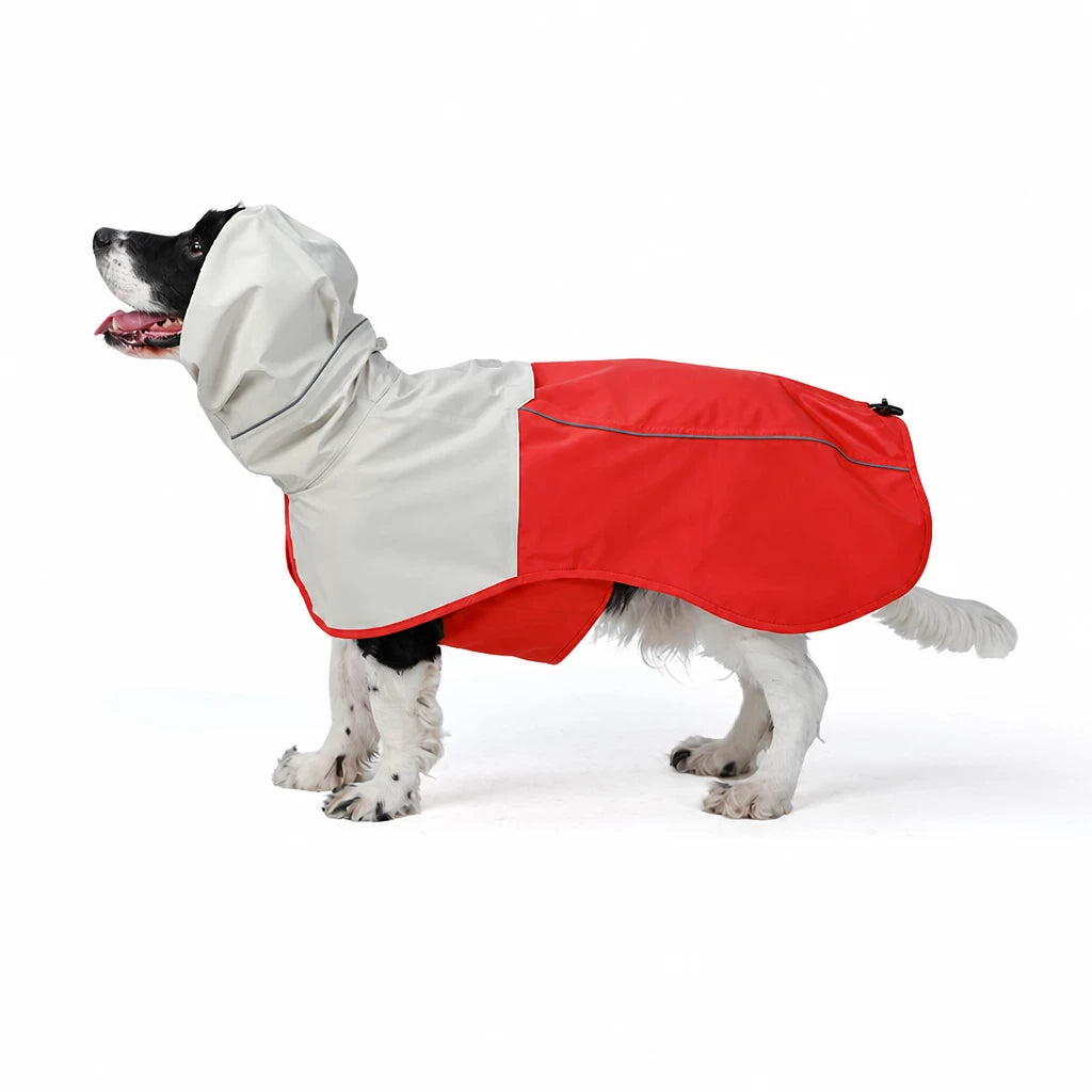 Two-Piece Dog Rain Suit