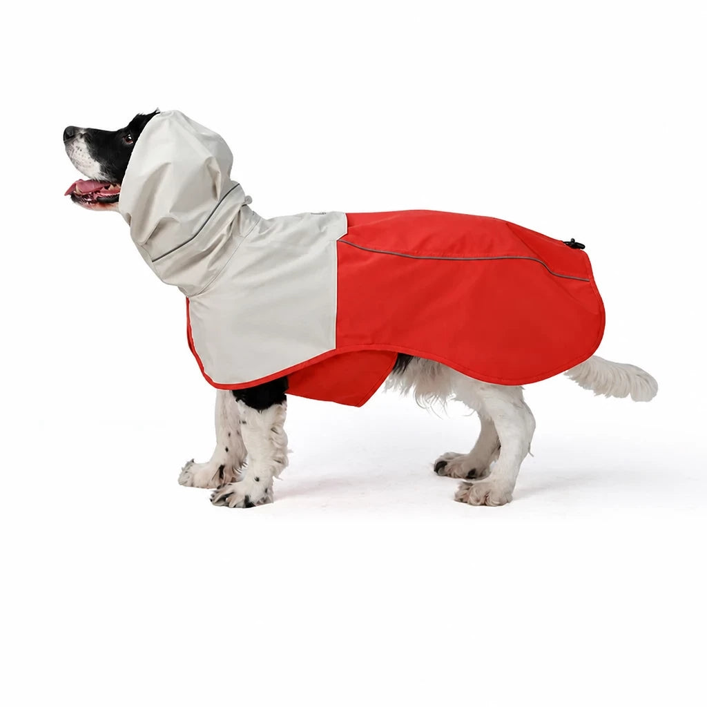 Two-Piece Dog Rain Suit