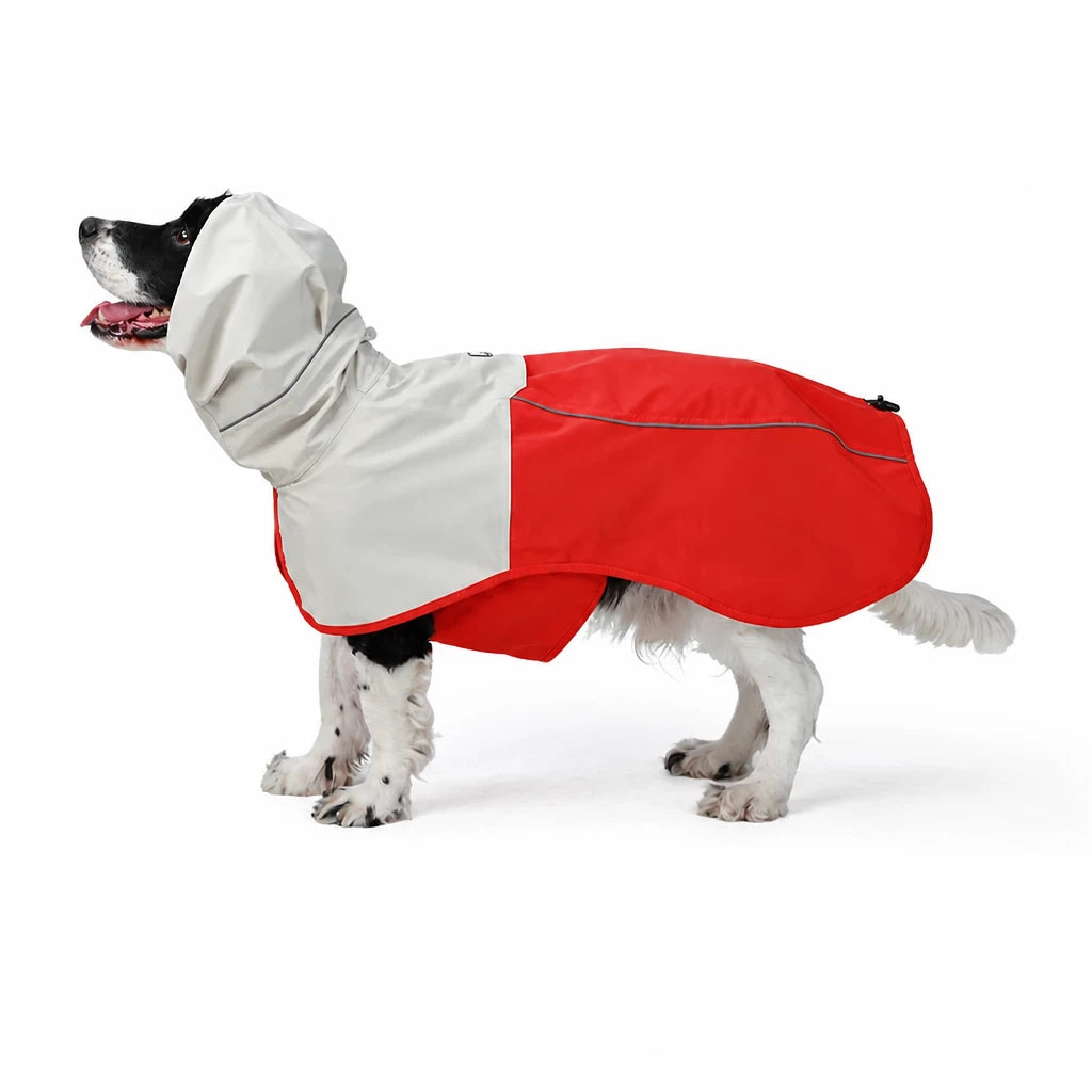Two-Piece Dog Rain Suit