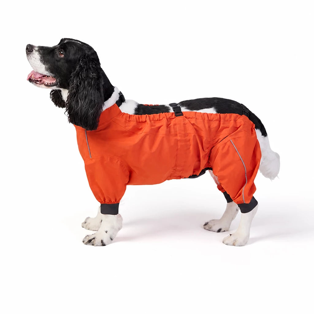 Two-Piece Dog Rain Suit