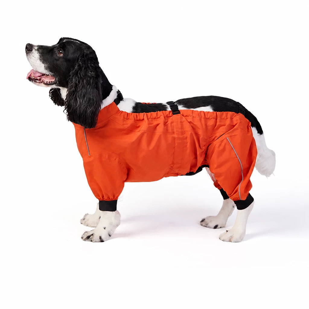 Two-Piece Dog Rain Suit