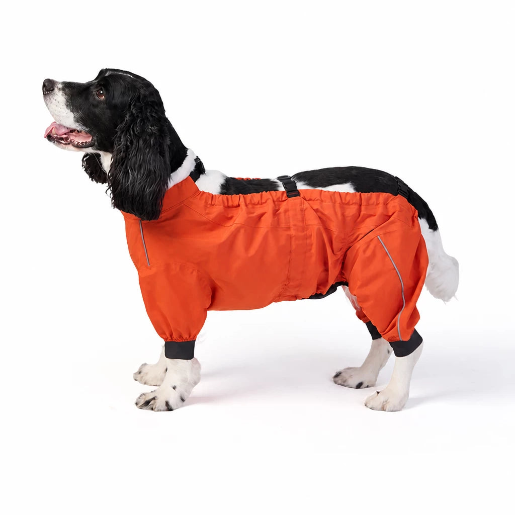 Two-Piece Dog Rain Suit