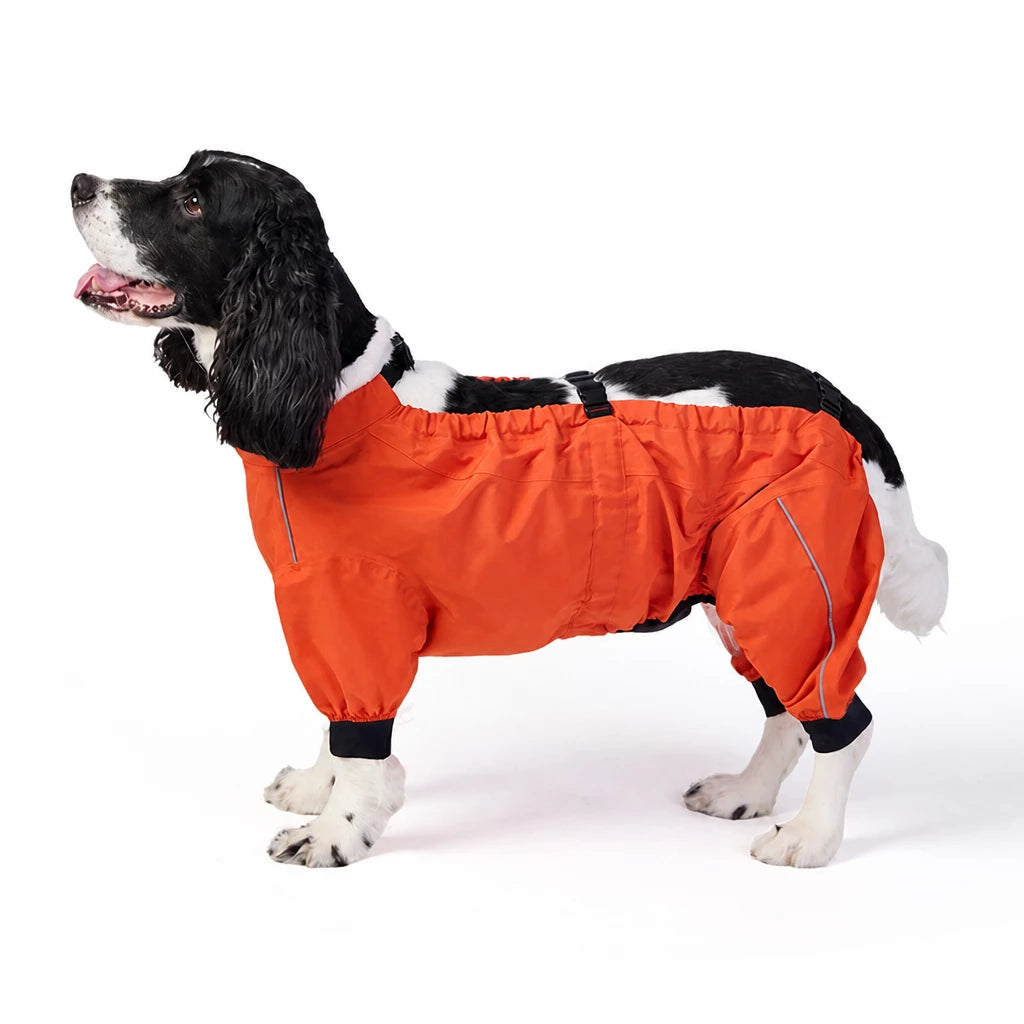Two-Piece Dog Rain Suit