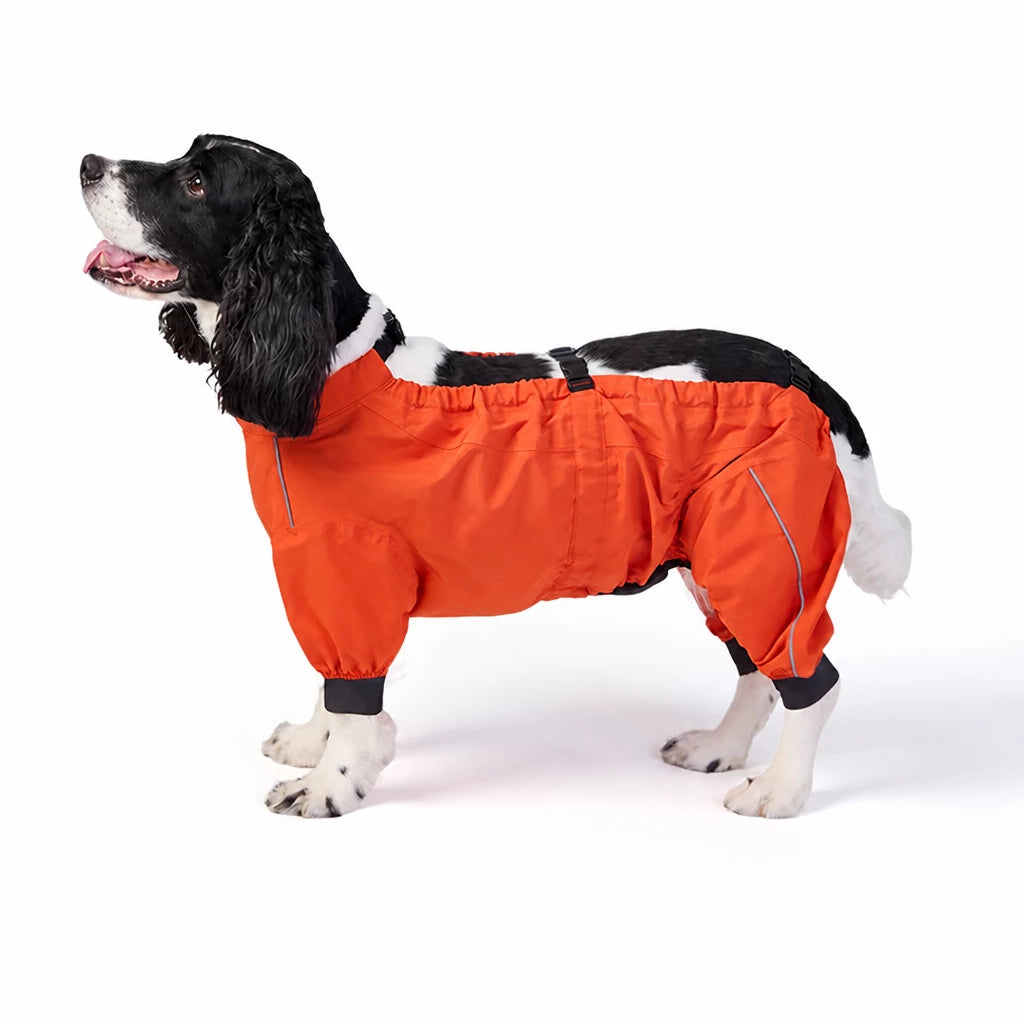 Two-Piece Dog Rain Suit