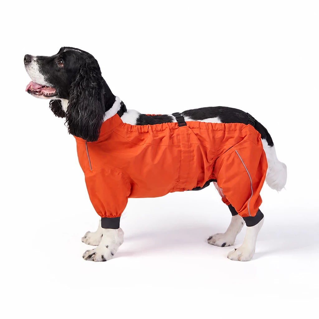 Two-Piece Dog Rain Suit