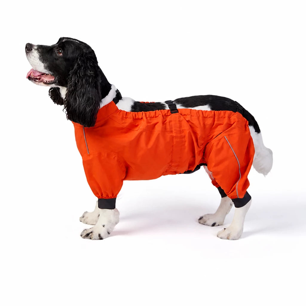 Two-Piece Dog Rain Suit