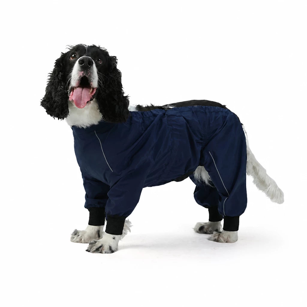Two-Piece Dog Rain Suit