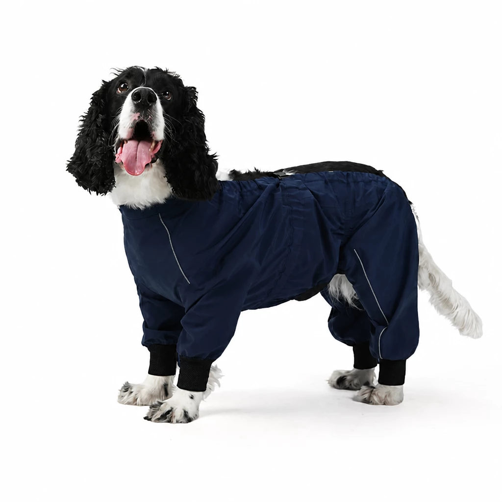 Two-Piece Dog Rain Suit