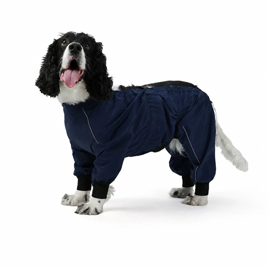 Two-Piece Dog Rain Suit