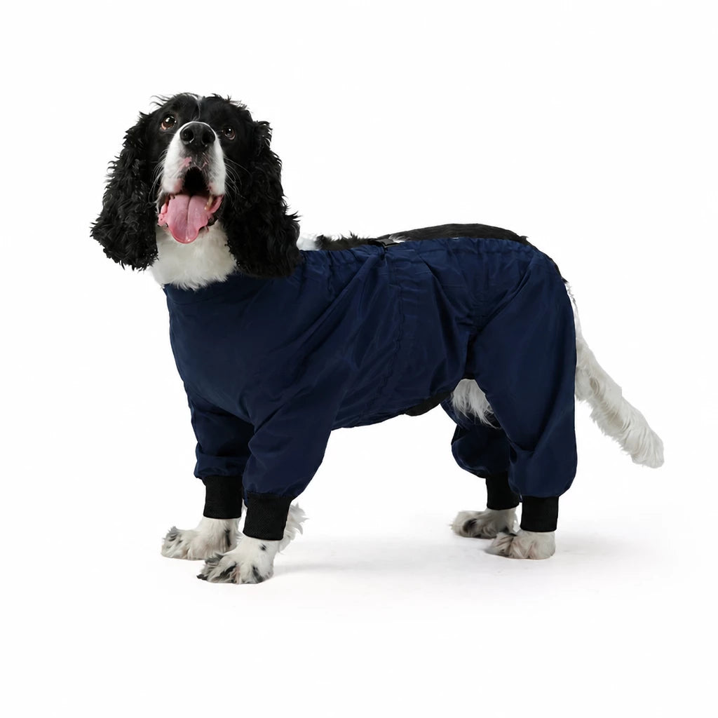 Two-Piece Dog Rain Suit