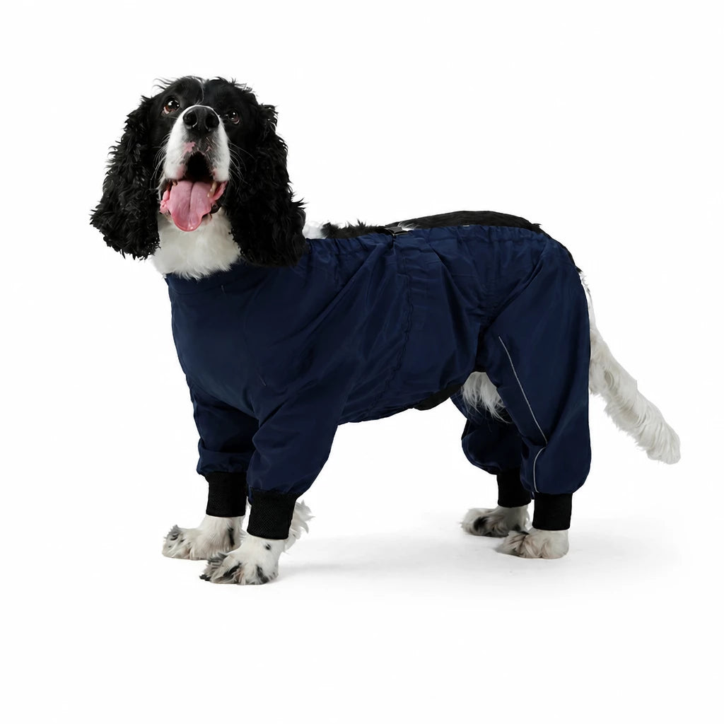 Two-Piece Dog Rain Suit