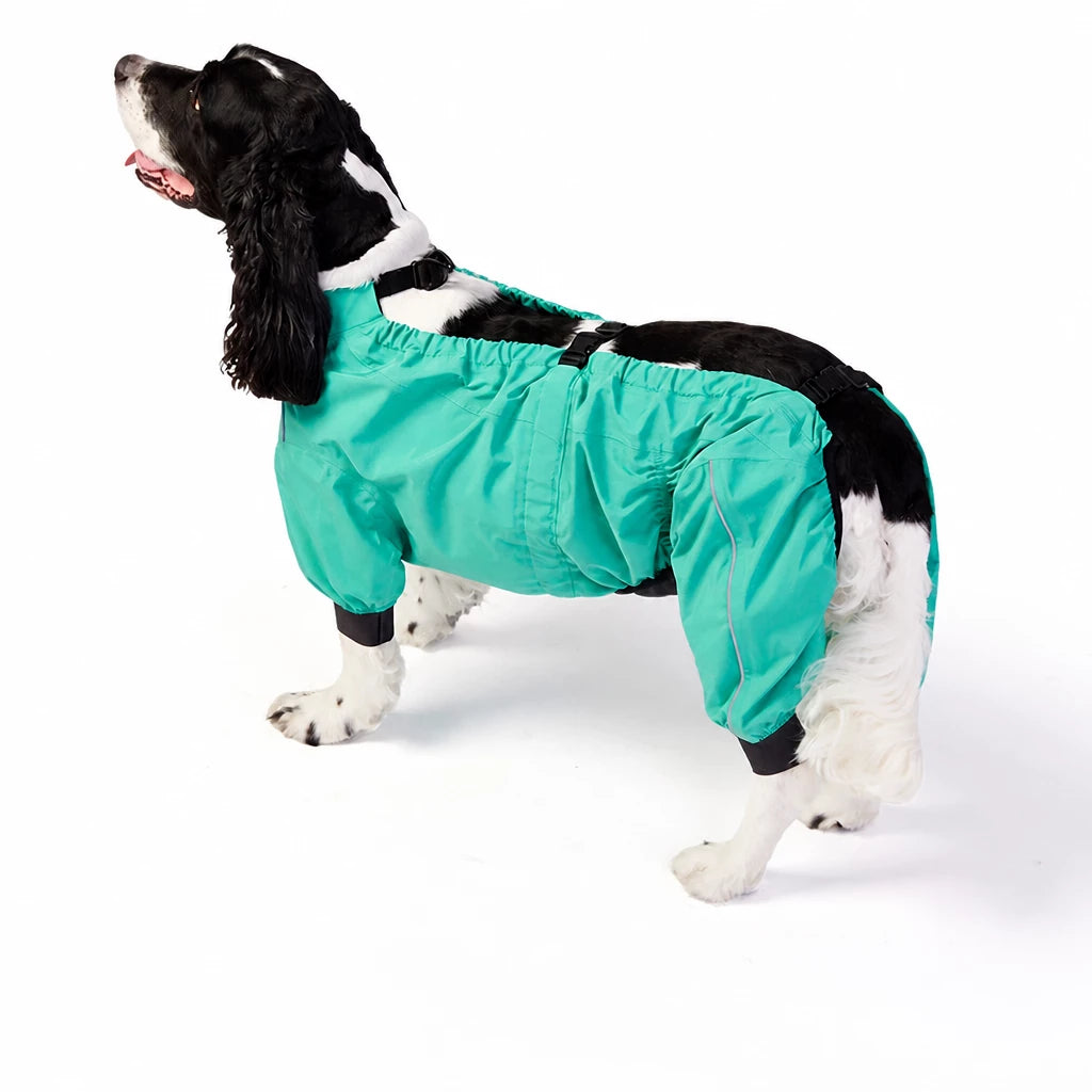 Two-Piece Dog Rain Suit