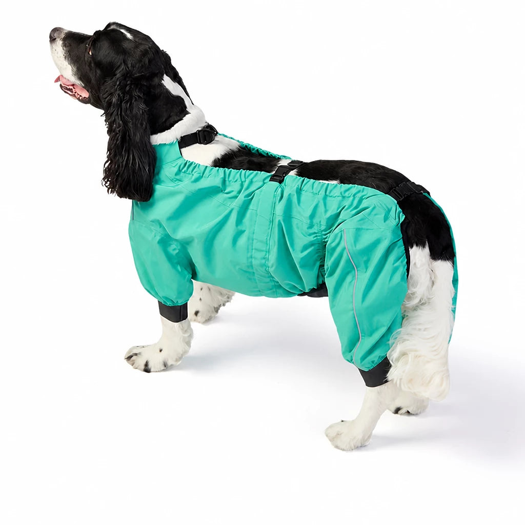 Two-Piece Dog Rain Suit