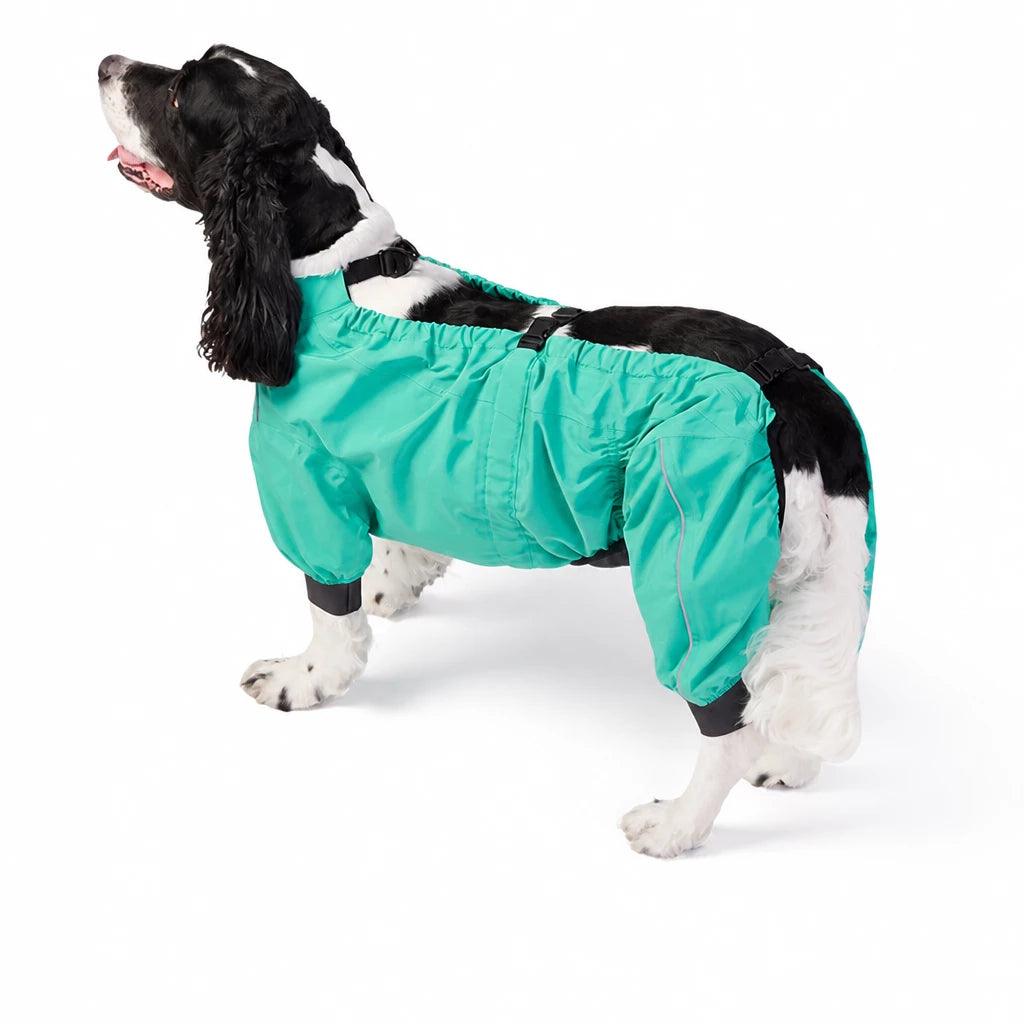 Two-Piece Dog Rain Suit