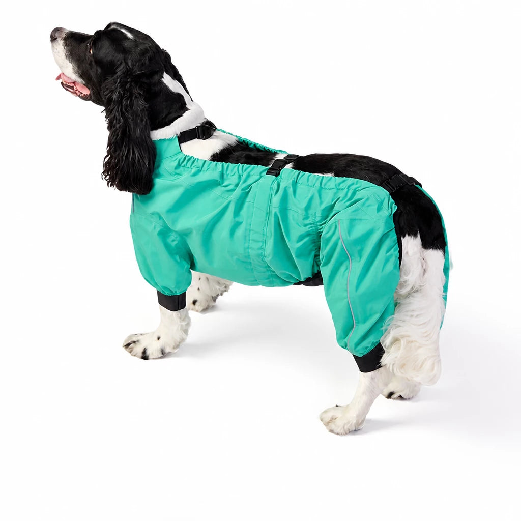 Two-Piece Dog Rain Suit