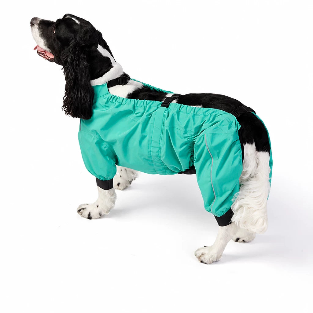 Two-Piece Dog Rain Suit