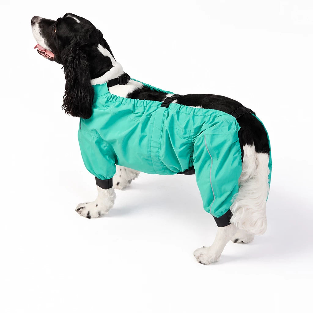 Two-Piece Dog Rain Suit