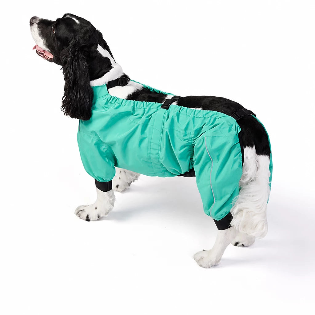 Two-Piece Dog Rain Suit