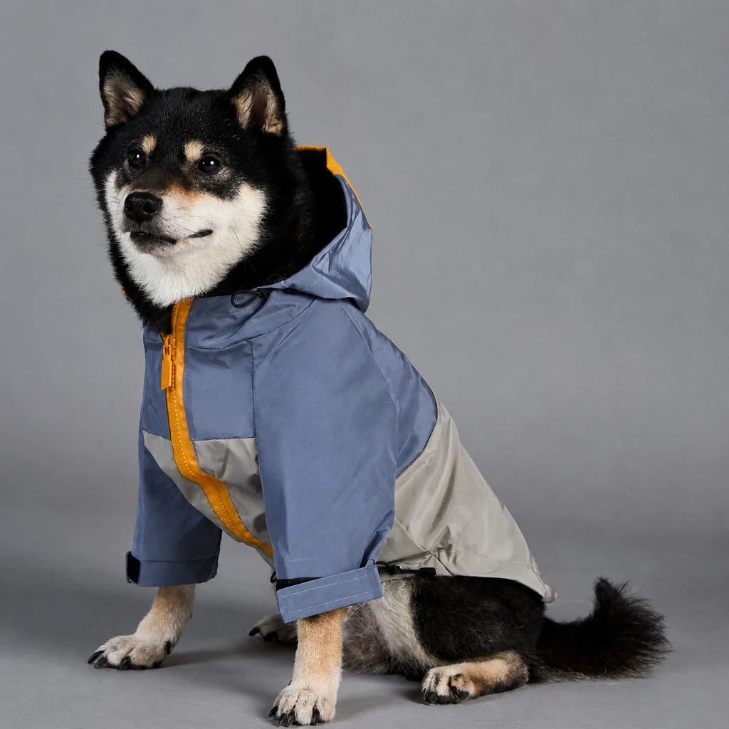 Dog Rain Jacket – Wind- and Water-Resistant Outdoor Coat