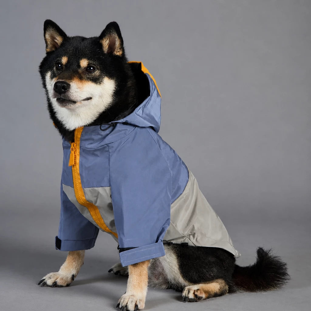 Dog Rain Jacket – Wind- and Water-Resistant Outdoor Coat