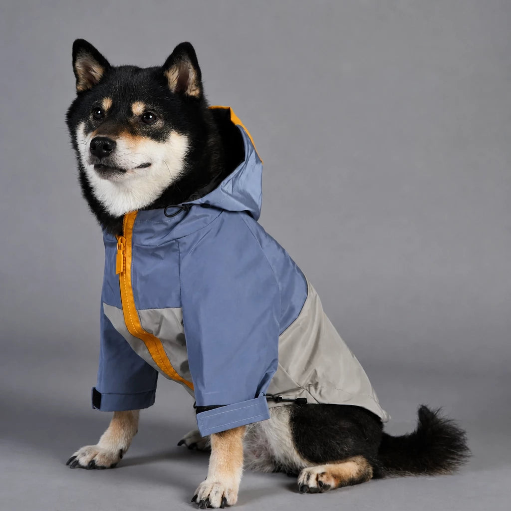 Dog Rain Jacket – Wind- and Water-Resistant Outdoor Coat