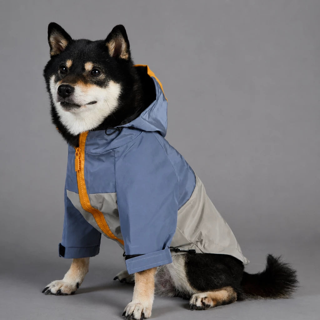 Dog Rain Jacket – Wind- and Water-Resistant Outdoor Coat