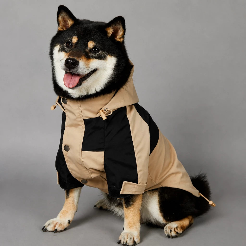 Dog Rain Jacket – Wind- and Water-Resistant Outdoor Coat