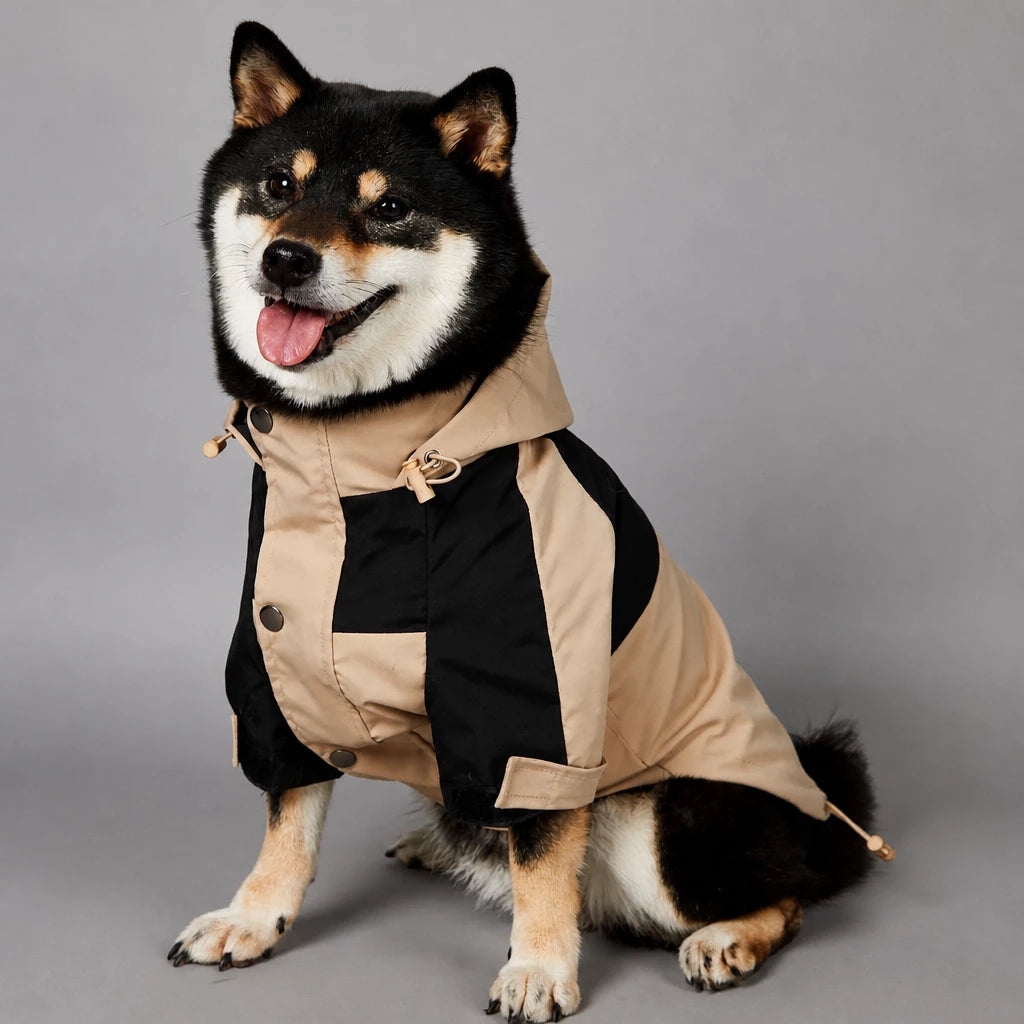 Dog Rain Jacket – Wind- and Water-Resistant Outdoor Coat