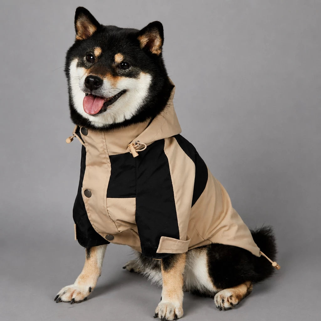 Dog Rain Jacket – Wind- and Water-Resistant Outdoor Coat