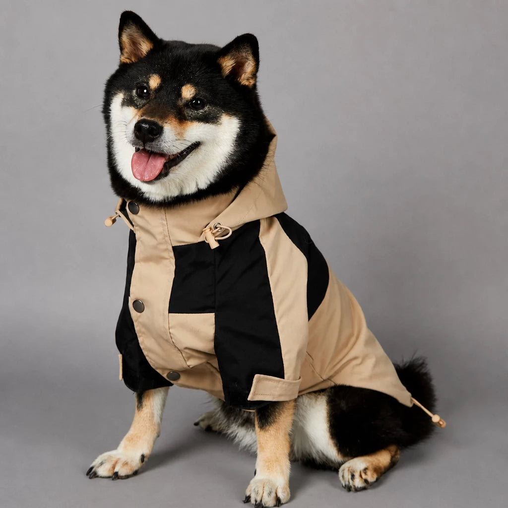 Dog Rain Jacket – Wind- and Water-Resistant Outdoor Coat