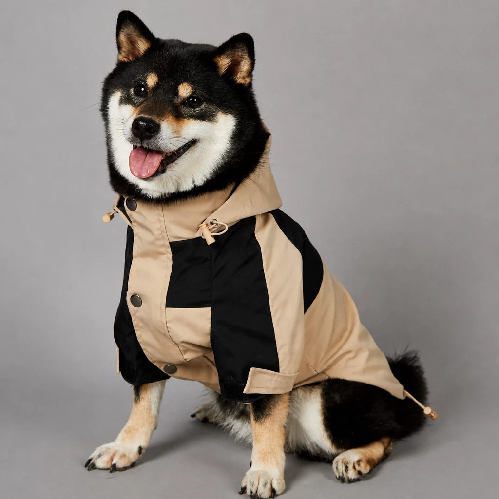 Dog Rain Jacket – Wind- and Water-Resistant Outdoor Coat