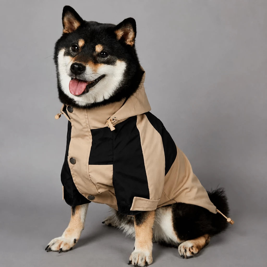 Dog Rain Jacket – Wind- and Water-Resistant Outdoor Coat