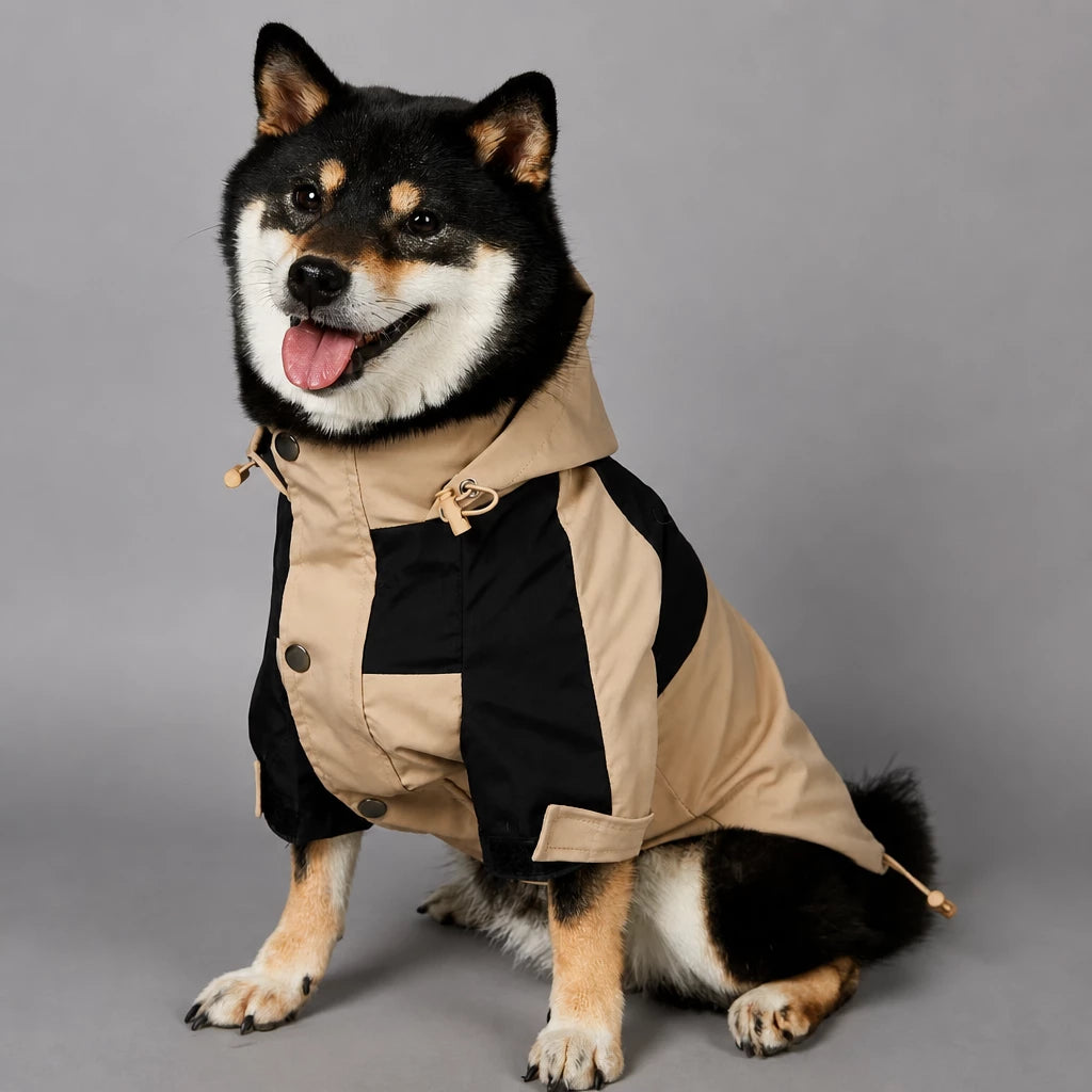 Dog Rain Jacket – Wind- and Water-Resistant Outdoor Coat