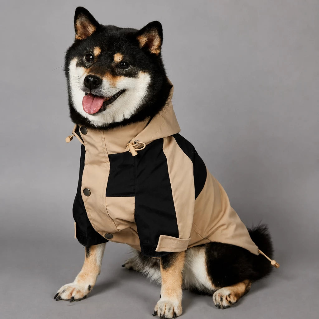 Dog Rain Jacket – Wind- and Water-Resistant Outdoor Coat