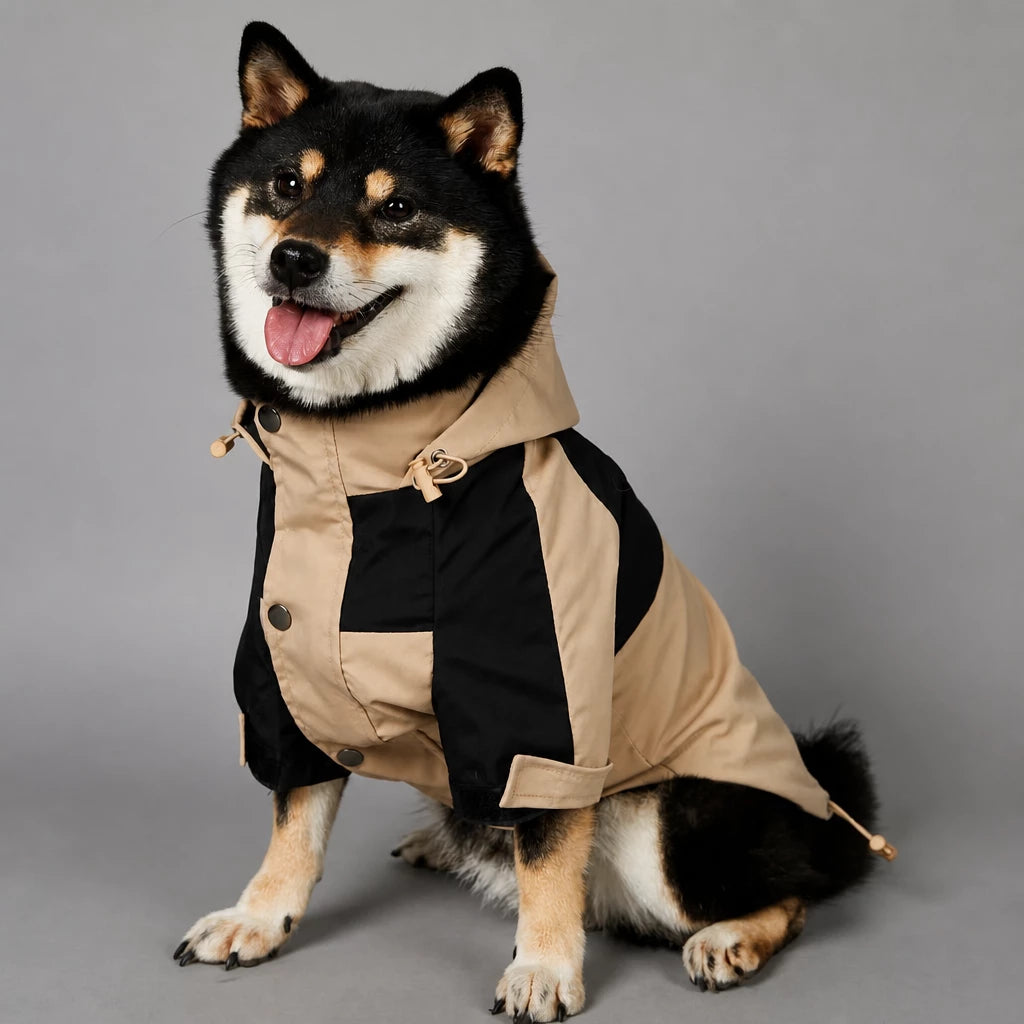 Dog Rain Jacket – Wind- and Water-Resistant Outdoor Coat