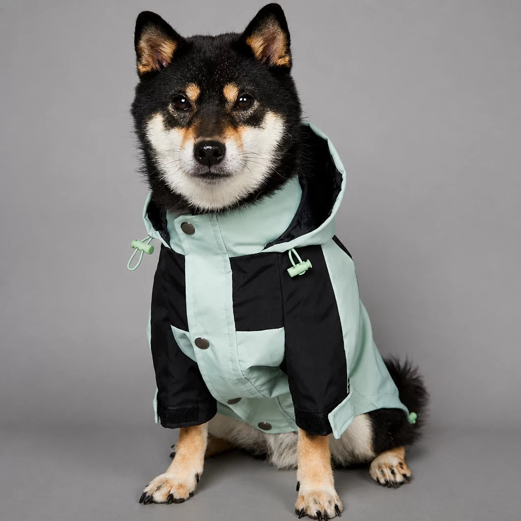 Dog Rain Jacket – Wind- and Water-Resistant Outdoor Coat