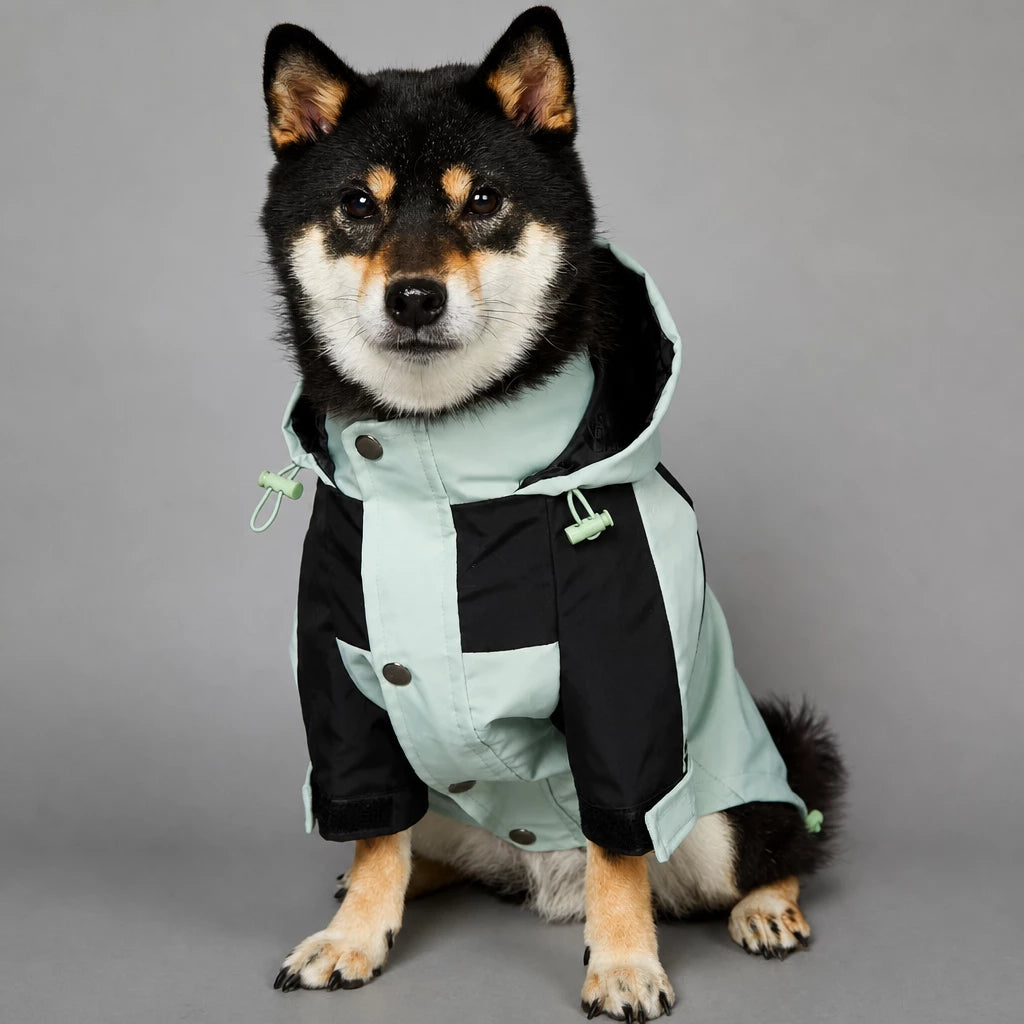 Dog Rain Jacket – Wind- and Water-Resistant Outdoor Coat