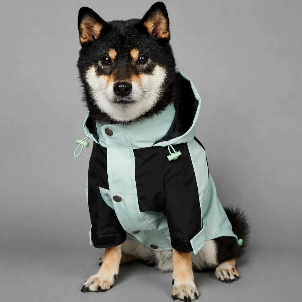 Dog Rain Jacket – Wind- and Water-Resistant Outdoor Coat