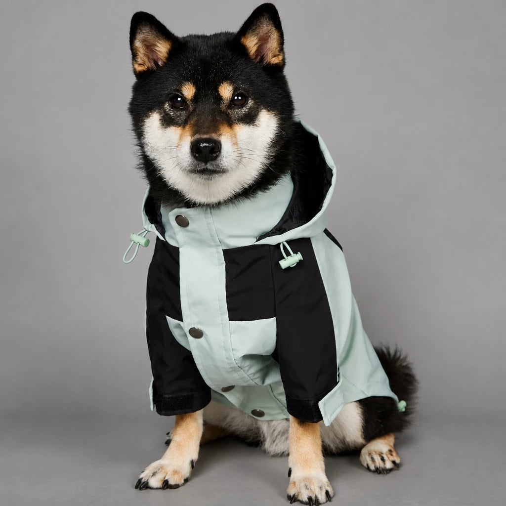 Dog Rain Jacket – Wind- and Water-Resistant Outdoor Coat