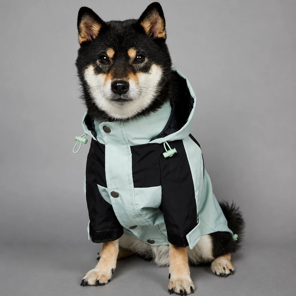 Dog Rain Jacket – Wind- and Water-Resistant Outdoor Coat