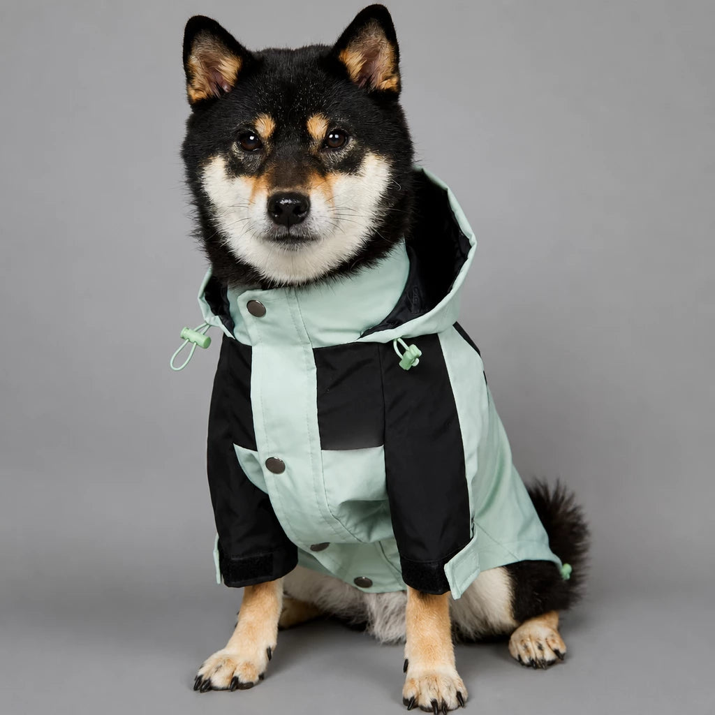 Dog Rain Jacket – Wind- and Water-Resistant Outdoor Coat
