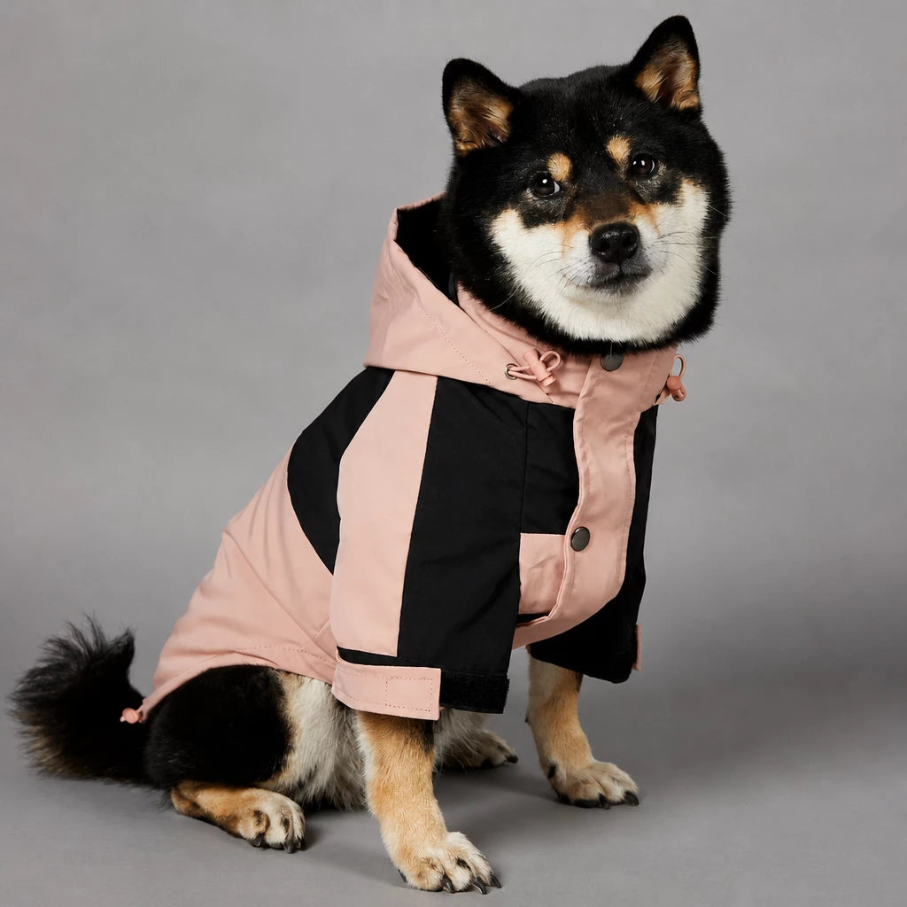 Dog Rain Jacket – Wind- and Water-Resistant Outdoor Coat