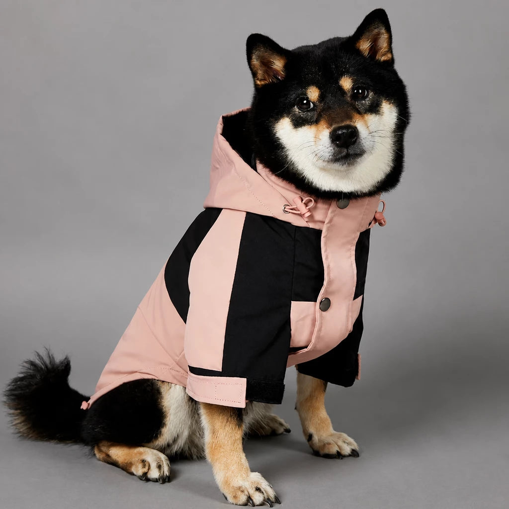 Dog Rain Jacket – Wind- and Water-Resistant Outdoor Coat