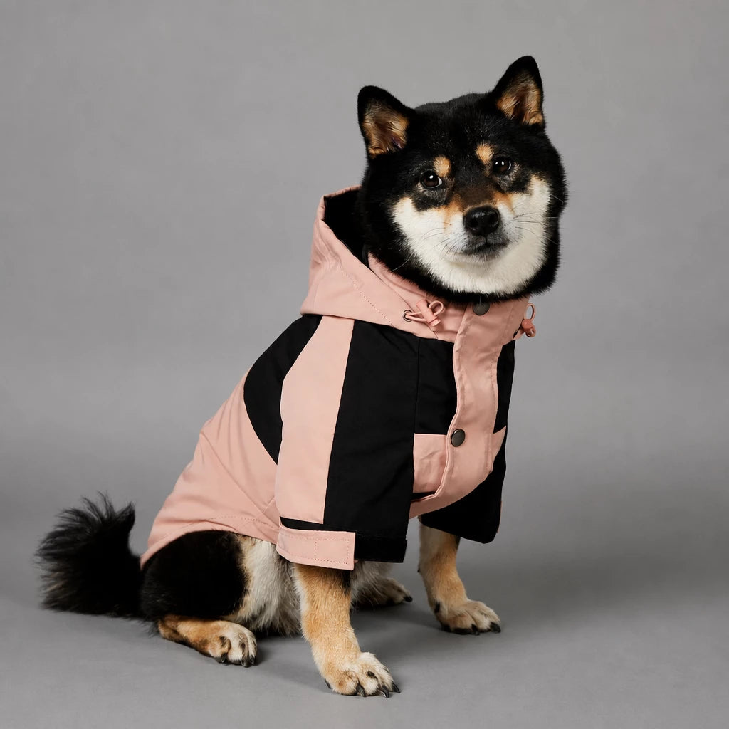 Dog Rain Jacket – Wind- and Water-Resistant Outdoor Coat