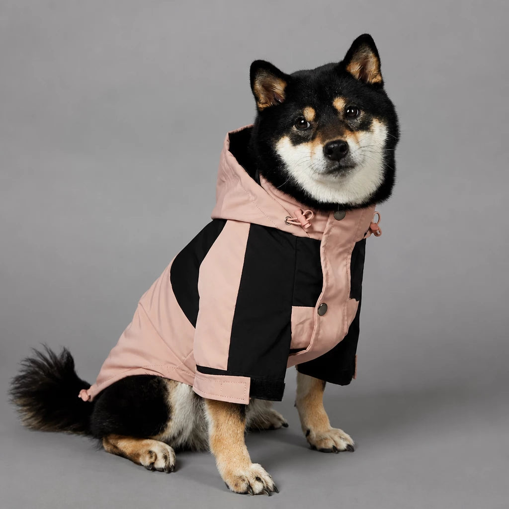 Dog Rain Jacket – Wind- and Water-Resistant Outdoor Coat