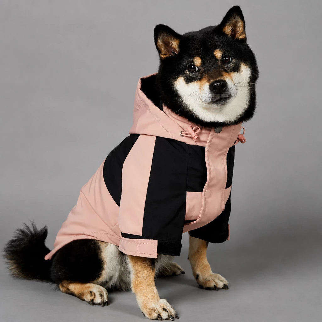 Dog Rain Jacket – Wind- and Water-Resistant Outdoor Coat